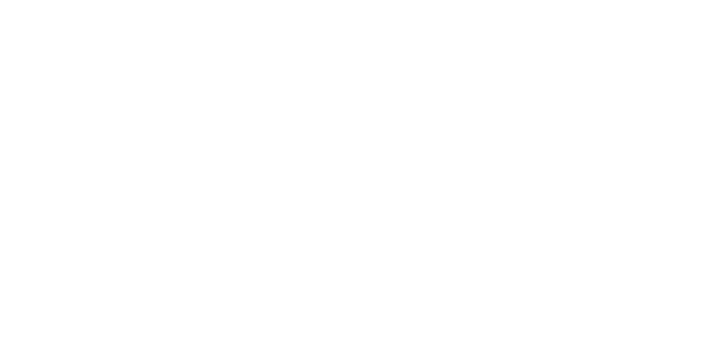 logo ECOM